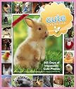 Cute Overload: 365 Days of Impossibly Cute Photos Calendar 2010 (Picture-A-Day Wall Calendars)