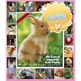 Les d�tails du produit