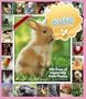Cute Overload: 365 Days of Impossibly Cute Photos Calendar 2010 (Picture-A-Day Wall Calendars)