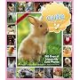 Cute Overload Calendar: 365 Days of Impossibly Cute Photos (Picture-A-Day Wall Calendars)