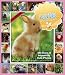 Cute Overload: 365 Days of Impossibly Cute Photos Calendar 2010 (Picture-A-Day Wall Calendars)