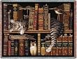 Frederick the Literate Throw - 70 x 53 Blanket/Throw