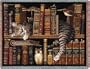 Frederick the Literate Throw - 70 x 53 Blanket/Throw