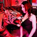 「花咲ビューティー」 TYPE-B(初回限定盤)(DVD付)(在庫あり。)