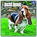 Basset Hounds 2017 Calendar