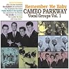 Vol. 1-Remember Me Baby-Cameo Parkway Vocal Groups