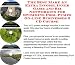 The Best Make An Extra Income, Inner Game and Biz Networking for Swimming Pool Pumps On-line Businesses 3 CD Course