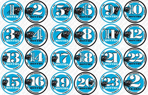 FOOTBALL PANTHER Baby Month Onesie Stickers Baby Shower Gift Photo Shower Stickers, baby shower gift by OnesieStickers