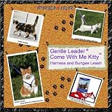 Premier Come with me Kitty Harness Large Electric Lime