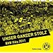 BVB Hits 2011 - Unser Ganzer Stolz