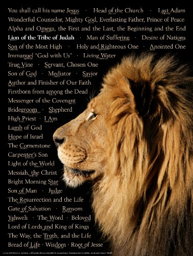 Lion of Judah Wall Chart - Laminated