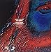 Blue Moses