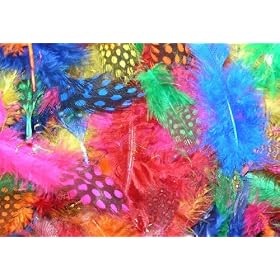 Exotic Spotty Funky Feathers