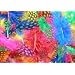 Exotic Spotty Funky Feathers