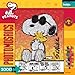 Peanuts Photomosaic: Joe Cool 1000pc Jigsaw Puzzle