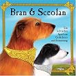 Bran & Sceolan: Ein keltisches Spiel um Ged�chtnis und Erinnerung