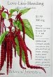 Love Lies Bleeding Heirloom Seeds 175 Seeds