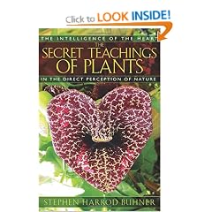 Secret Teachings Of Plants