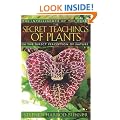 Secret Teachings Of Plants