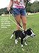 Q Global Dog Leash - Pet Supplies for Dogs Leashes - Dog Leash 2 Handles - 1 Leash 2 Handles - Dog Training Leash - Extra Strong Large Dogs