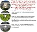 The Guru's Earn More Money, Inner Game and Accounting & Finance for Dating Tips Internet Businesses 3 CD Power Pack