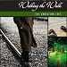 Walking the Walk - Introduction