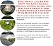 The Down and Dirty How To Earn Extra Money, Inner Game and Biz Networking for Credit Repair Courses Web Biz 3 CD Course