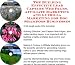 The Guerilla Marketing, Building Effective Lead Capture Web Pages, Affiliate Marketing for Dog Shampoos Businesses