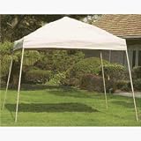 Do it Best Gazebo LG3110 10' Green Canopy