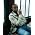 Thumbnail image of Kem