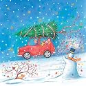 Bringing home the Tree