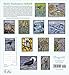2017 Molly Hashimoto: Birds Wall Calendar