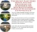 Book The Secret Earn More Money, Success Principles and eCommerce for Keychain Finders Internet Businesses 3 CD Power Pack