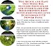 Book The Quick and Easy Get More Biz, Success Principles and Inner Game for High Protein Diet Supplements On-line Businesses 3 CD Power Pack