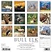Bull Elk 2017 Wall Calendar