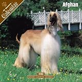 2008 Afghan 2008 Wall Calendar **IN STOCK NOW**