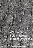 Wildlife of the Border forests of Northumberland