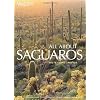 All about Saguaros: Facts/Lore/Photos