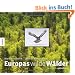 Europas wilde W�lder - Ein Buch von Greenpeace zur internationalen Kampage zum Schutz der W�lder
