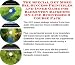 Book The Special Get More Biz, Success Principles and Inner Game for Badminton Racquets On-line Businesses 3 Course Pack