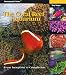 The Coral Reef Aquarium: From Inception to Completion (Oceonographic Series)