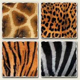 Serengeti Assorted Tumbled Stone Coaster Set by Highland Graphics Creative Ventures