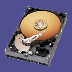 Hard Drive Disk, 80 GB, 7200RPM (WDCHDD80) Category: Flash Drives