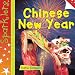 Chinese New Year (Sparklers: Celebrations)