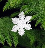 Norfolk Island Pine -Christmas Tree- 6" Pot - Decorated