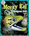 Moray Eel: Dangerous Teeth (Afraid of the Water)