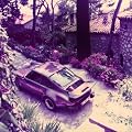 The Gin Diaries [Vinyl LP]