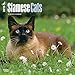 Siamese Cats 2015 Wall Calendar