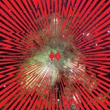 Broken (Fairylights Remix) [Explicit]