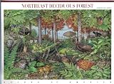 2005 Northeast Deciduous Forest #3899 Pane of 10 x 37cents US Postage Stamps